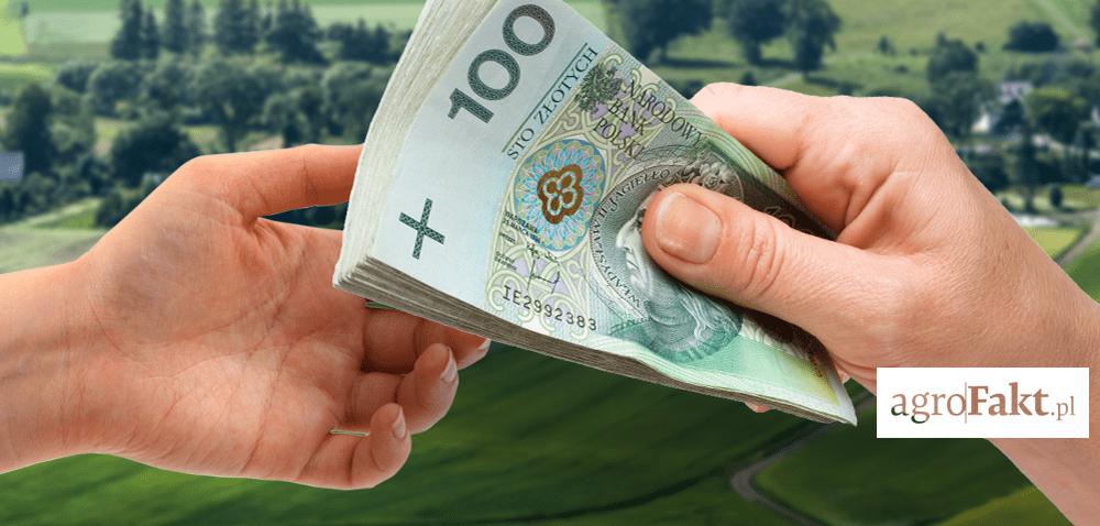 .pl Ile zapłacimy za hektar ziemi w 2017?