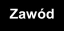 Zawody popularne w 2016/2017 Lp.