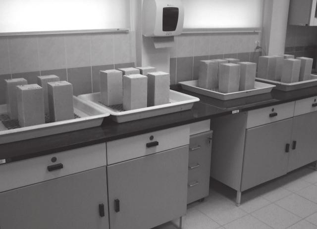 139 Ill. 1. Measurements of water sorption coefficients Four samples were prepared for the first stage of testing. The four samples were cuboids measuring 12 12 24 cm each.