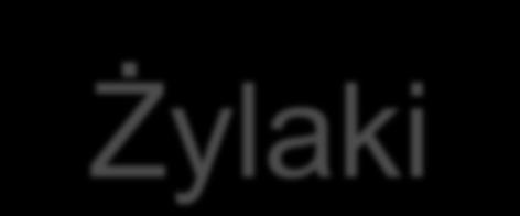 Żylaki zmniejszenie elastyczności żył pod wpływem