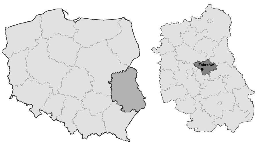 Emisje N 2 w gospodarstwie specjalizującym się w produkcji roślinnej 329 burak cukrowy/