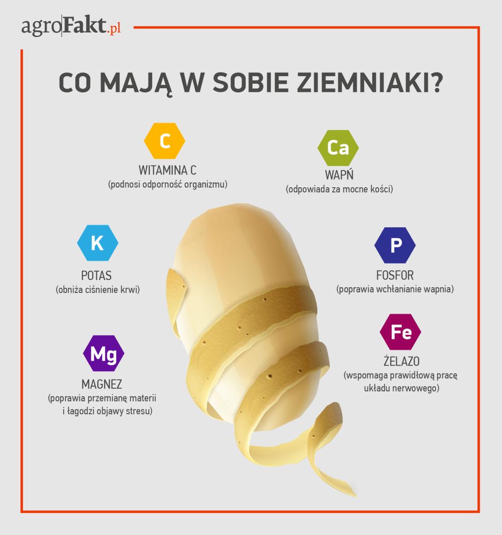 Co mają w sobie ziemniaki?