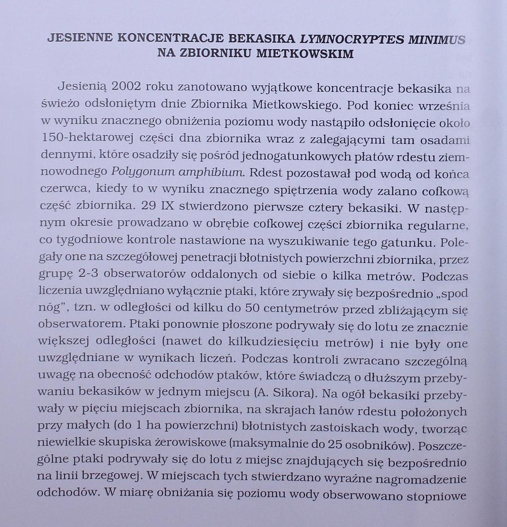 JESIENNE KONCENTRACJE BEKASIKA LYMNOCRYPTES MINIMUS NA ZBIORNIKU MIETKOWSKIM Jesienią 2002 roku zanotowano wyjątkowe koncentracje bekasika na świeżo odsłoniętym dnie Zbiornika Mietkowskiego.