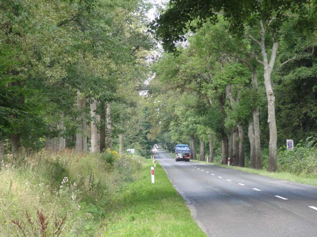 Pobocza drogi o zmiennej szerokości od ok. 0,7 m do 1,5 m porośnięte są trawa i obniżone w stosunku do krawędzi jezdni.