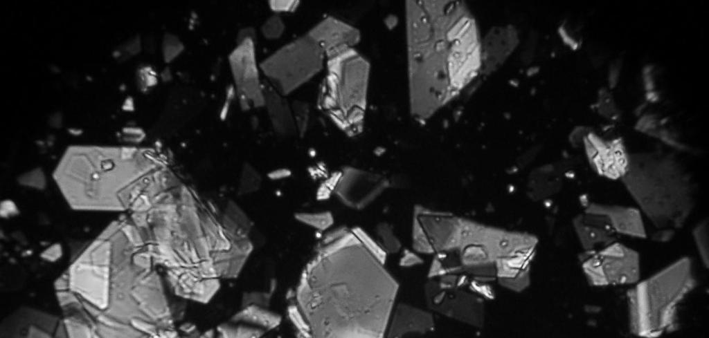 Fotografie struktury krystalicznej trzech miodów wykorzystanych w badaniach: a) miód rzepakowy, b) miód wielokwiatowy, c) miód gryczany Photo 1.