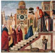As was the custom for English Catholics, he attended English schools in Belgium and later university in France.