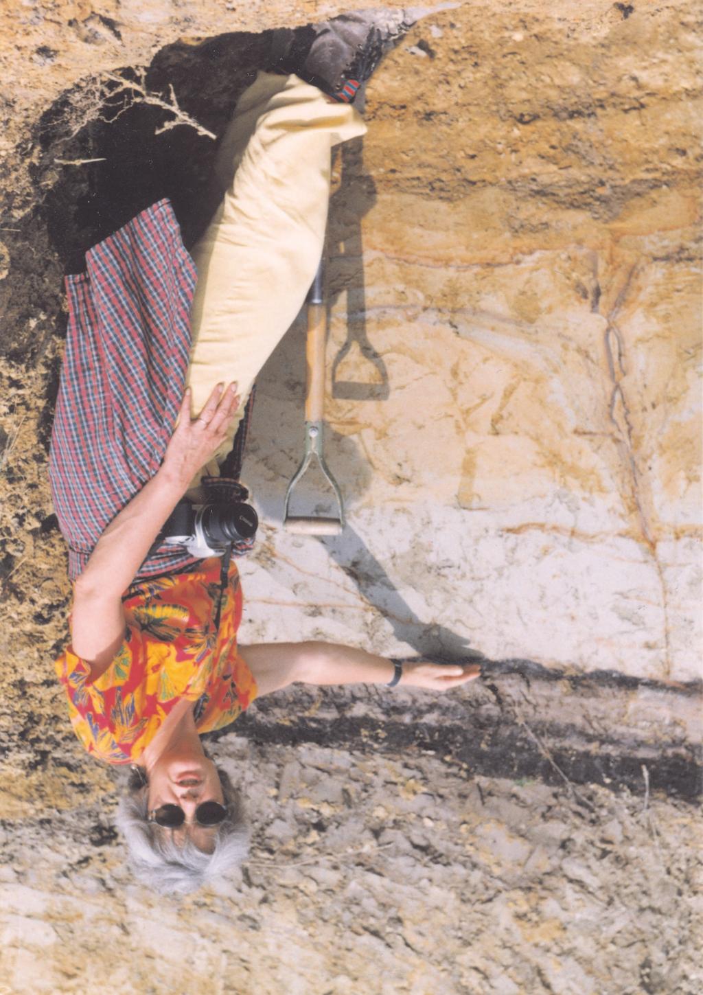 Przegl¹d Geologiczny, vol. 51, nr 7, 2003 Ryc. 7. Osady gytiowate w stanowisku Krukienice III (fot. anczont) Fig 7.