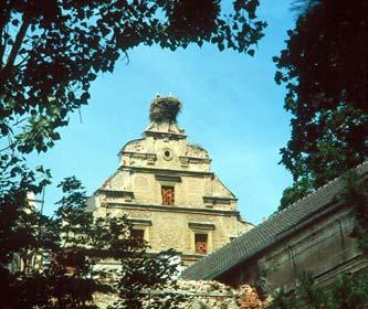 114 ROMUALD MIKUSEK, ANDRZEJ WUCZYŃSKI Fot. 8. Gniazdo bociana białego na dachu zamku w Gorzanowie (fot. R Mikusek). Fot. 7. Gniazdo bociana białego na kominie przemysłowym w Ołdrzychowicach (fot.