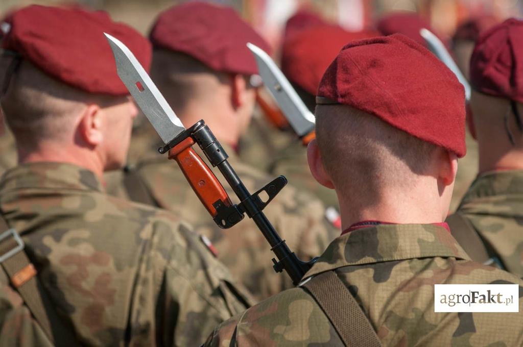 W ramach obchodów Dnia Niepodległości odbywają się parady wojskowe i defilady. Centralne obchody Narodowego Święta Niepodległości odbywają się zawsze w Warszawie.