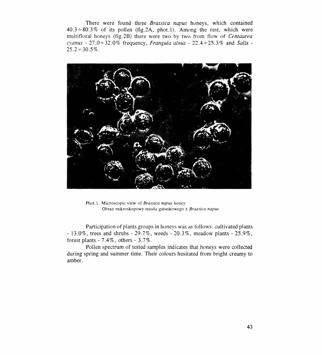 There were found three Brassica napus honeys, which contained 40.3+80.3% of its pollen (fig.2a, phot.l). Among the rest. which were multifloral honeys (fig.