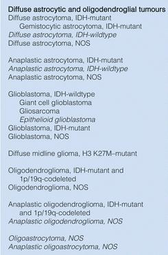 Główne zmiany Grupa diffuse gliomas łączy guzy typu astrocytoma i oligodendrioglioma, Guzy WHO II-III oraz GBM WHO IV Astrocytoma: mutacja genu IDH (dehydrogenazy izocytrynianowej) korzystny czynnik
