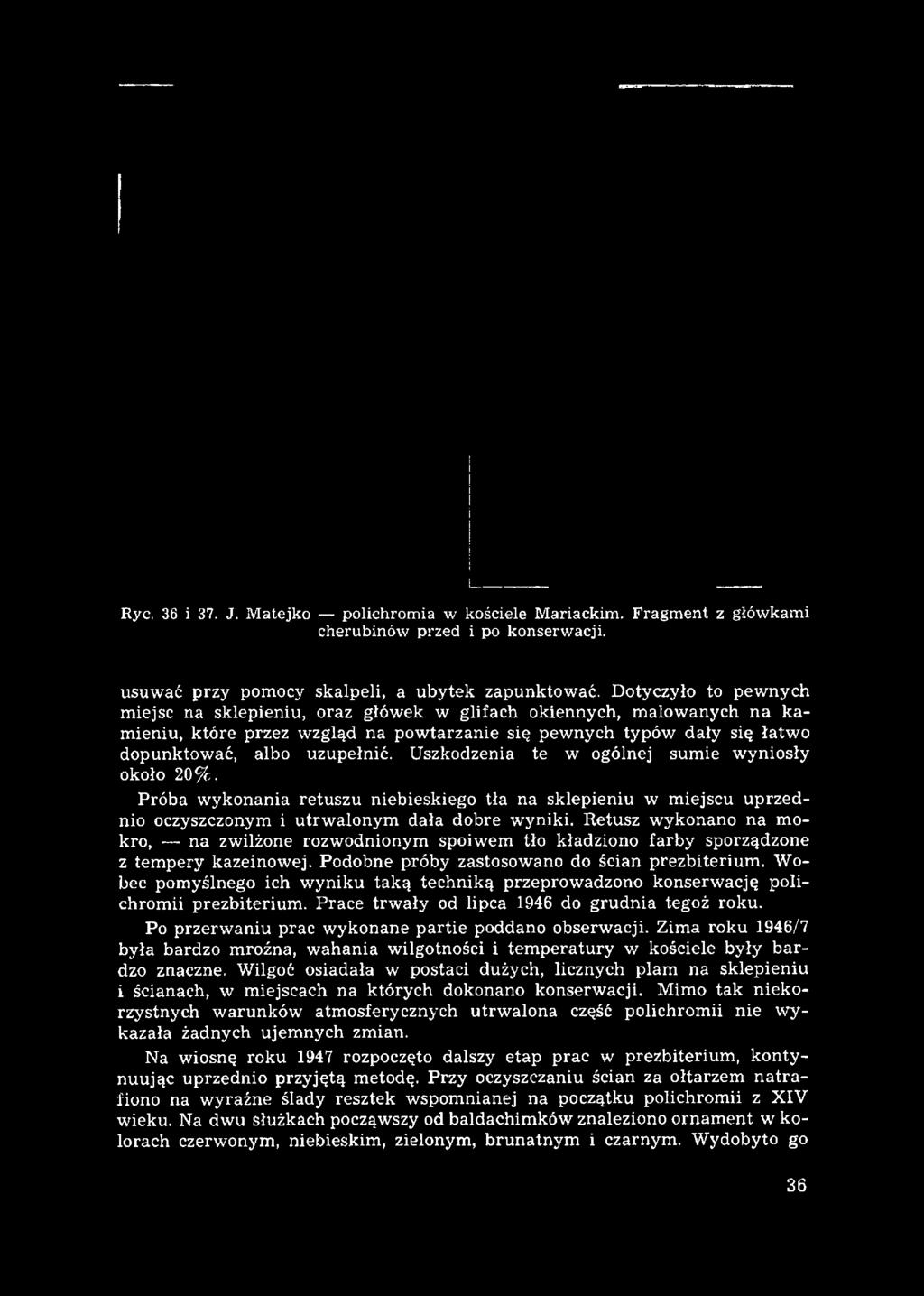 Ryc. 36 i 37. J. Matejko polichromia w kościele Mariackim. Fragment z główkami cherubinów przed i po konserwacji. usuwać przy pomocy skalpeli, a ubytek zapunktować.