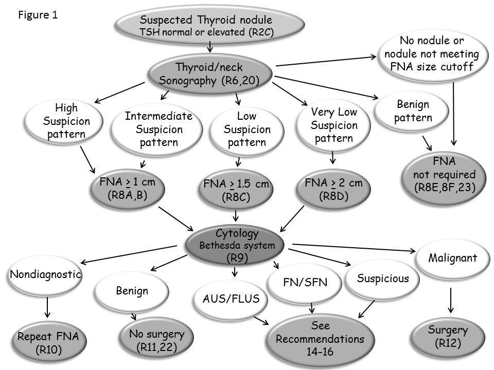 Algorithm for evaluation and management of patients with thyroid