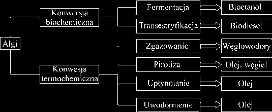 W zamkniętych fotobioreaktorach (rys. 3) można w dużym stopniu kontrolować warunki rozwoju mikroorganizmów, dzięki czemu uzyskuje się więcej biomasy niż w przypadku systemów otwartych.
