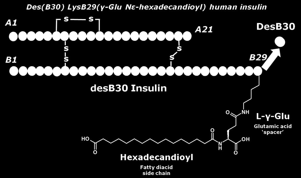 Budowa insuliny degludec (Tresiba) Jonassen et al.