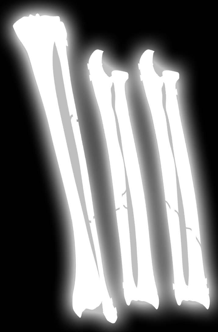 IMPANTY INSTRUMENTARIUM 40.4580.