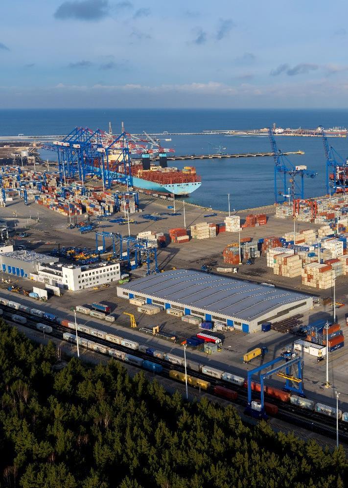 18 Usługi CFS w terminalu DCT Gdańsk Sprzęt i planowane inwestycje Zakres usług magazynowych: Formowania/ rozformowania kontenerów (drobnica, OOG); Mocowanie ładunków w kontenerze Czynności związane