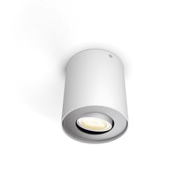 Pillar single spot white + Hue White Ambiance + dimmer