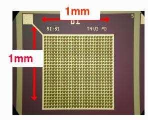 5/8/ Micro-pixel Avalache PhotoDiodes - fotopowielacz półprzewodikowy Golovi i Sadygov w latach 9 Gęsta