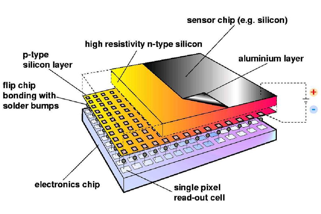 Agiografia Dyamic autoradiography Promieiowaie sychrotroowe Mikroskop elektroowy Kamera