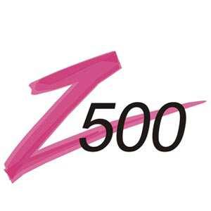 STUDIO Z500 www.