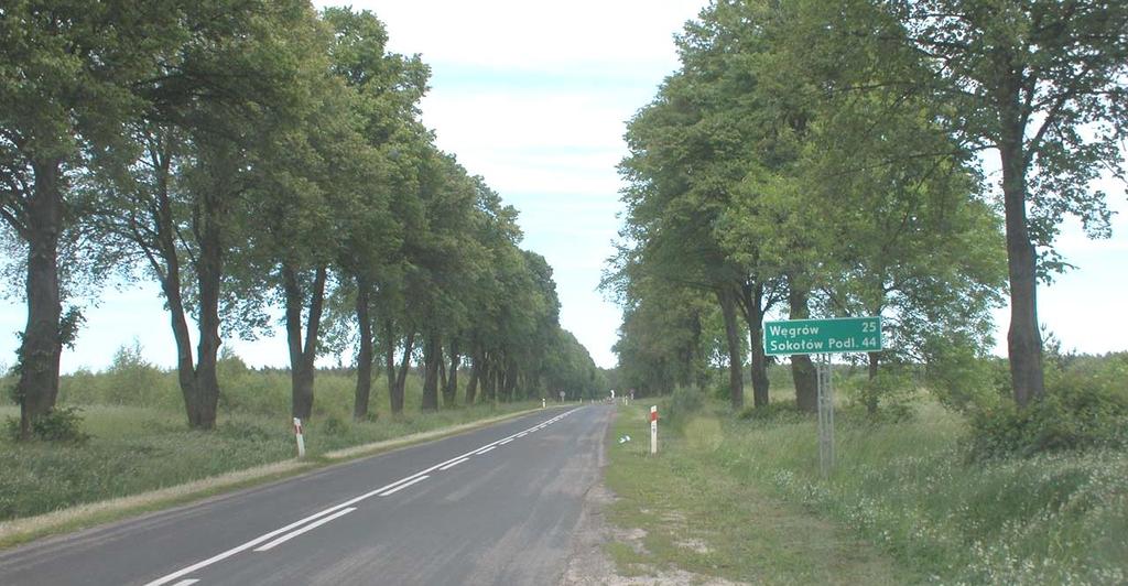 Poza rondem z drogą nr 50, krzyżuje się w poziomie z koleją, z pięcioma drogami powiatowymi i 8 drogami gminnymi oraz ma 4 skrzyżowania z ulicami miasta Łochowa.