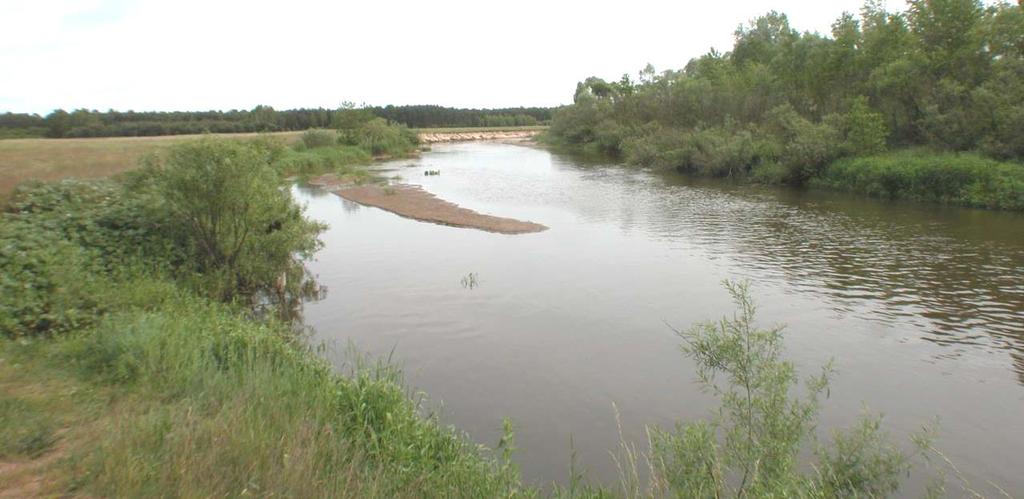 zalewowy Bugu ma szerokość ok. 3,5 m. i wyniesiony jest do 2,0 m. nad poziom rzeki. Jego płaską powierzchnię przecinają starorzecza oraz niewielkie strumienie i rowy odprowadzające wody do Bugu.