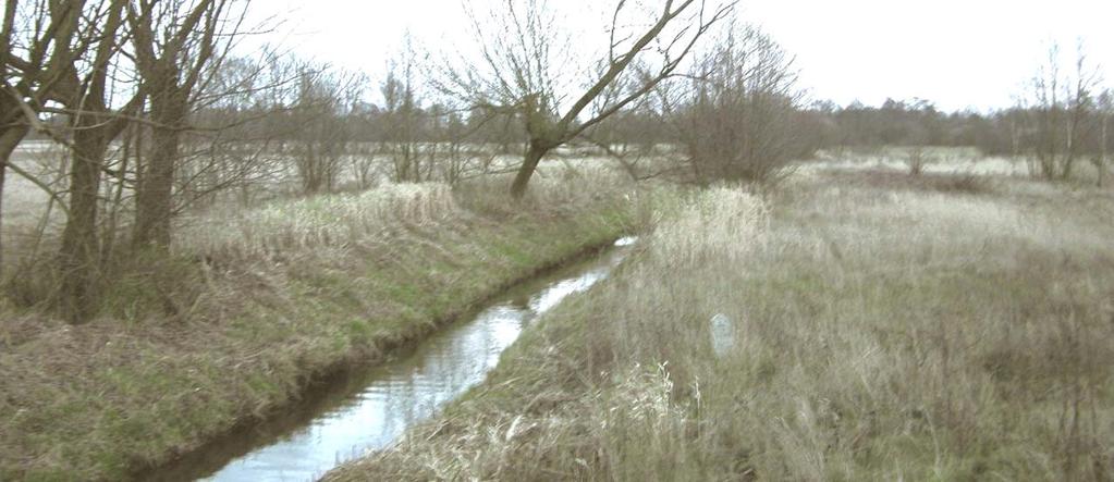 Z obserwacji rzeki na stacji wodowskazowej w Łochowie wynika, że wahania wody w rzece są duże i wynoszą ponad 3,0 m.
