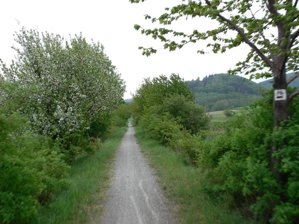 Zlikwidowane