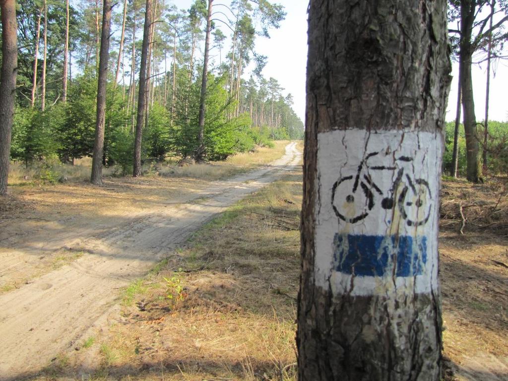 Szlaki