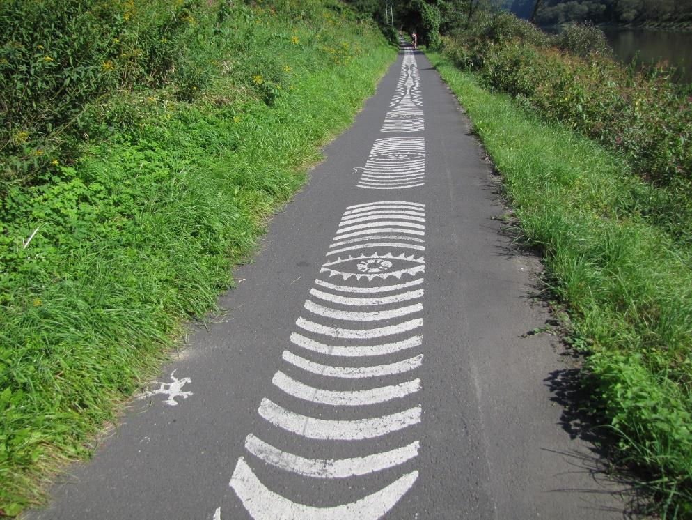 Trasy rowerowe to spójny ciąg różnych rozwiązań technicznych, który obejmuje w szczególności drogi dla rowerów, pasy ruchu dla rowerów,