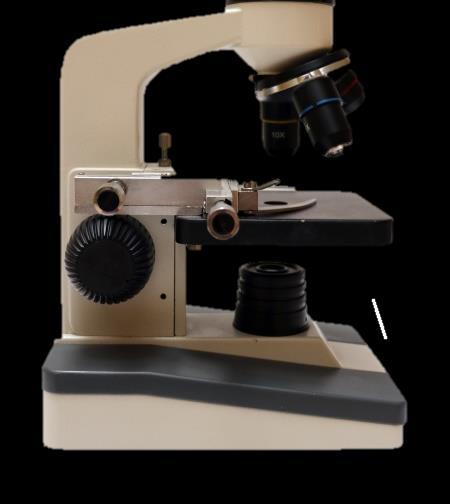 Zadanie 1 (0-1) Zdjęcie przedstawia szkolny mikroskop optyczny.