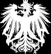 Schladming jest drugim największym miastem w powiecie Liezen. Schladming jest bardzo popularnym miejscem do uprawiania sportów zimowych w Styrii.
