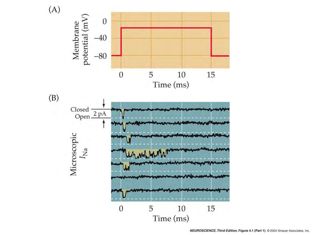 4.1 Measurements of ionic currents flowing