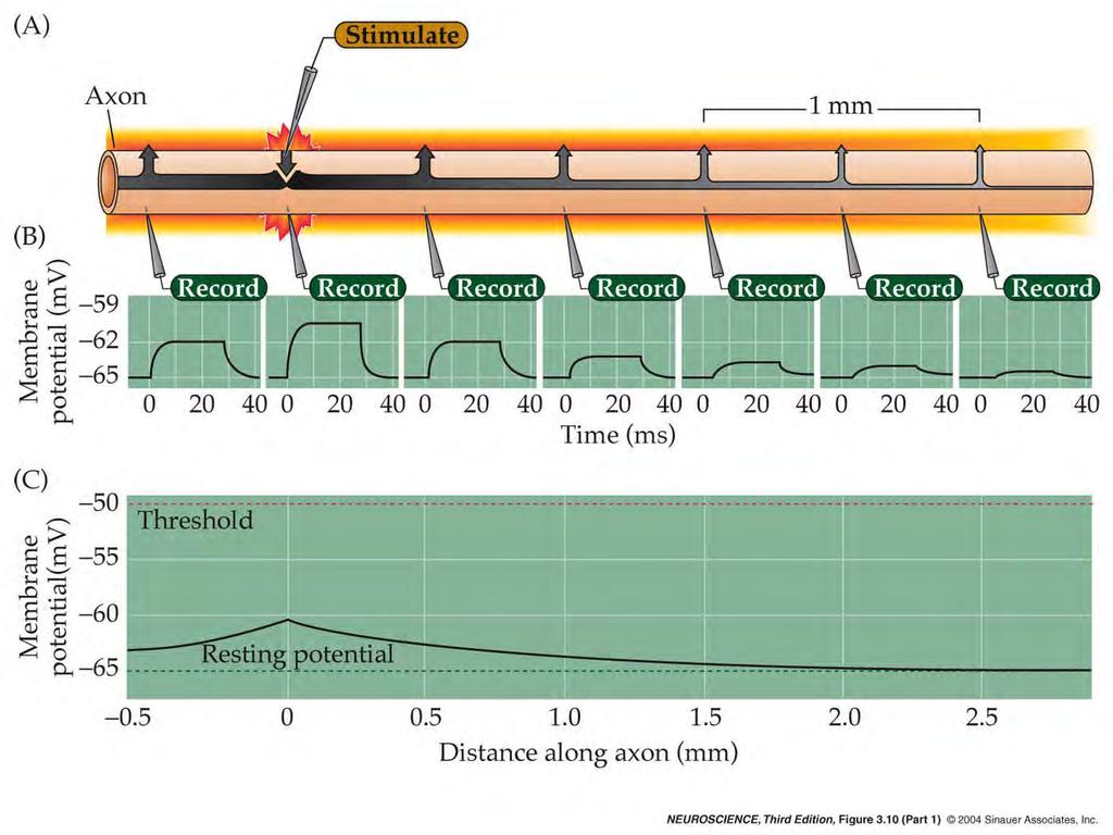 3.10 Passive current