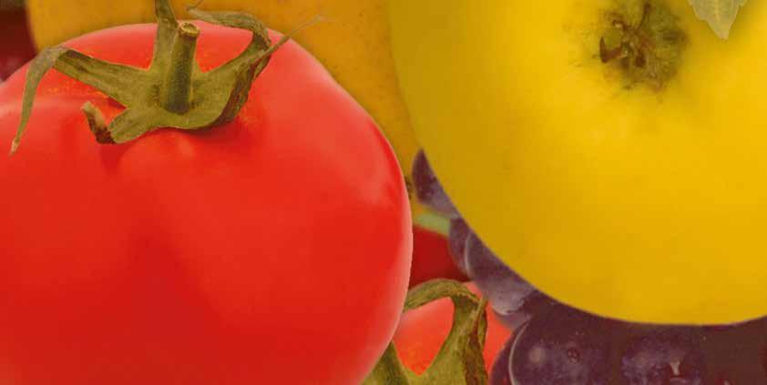 7 ZAWIERA OPTYMALNE CZĄSTKI SUBSTANCJI AKTYWNEJ ZAPEWNIA BARDZO DOBRE POKRYCIE ROŚLINY JEST TRUDNO ZMYWALNY www.agrosimex.pl Ze środków ochrony roślin należy korzystać z zachowaniem bezpieczeństwa.