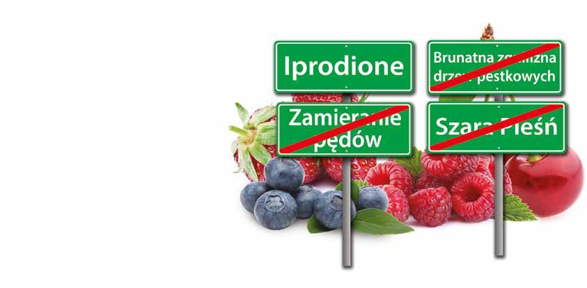 Miedź to podstawa Janusz Miecznik, Agrosimex Badania i obserwacje reakcji roślin sadowniczych przy stosowaniu związków miedzi udowodniły, że są one bardzo skuteczne nie tylko w zwalczaniu chorób