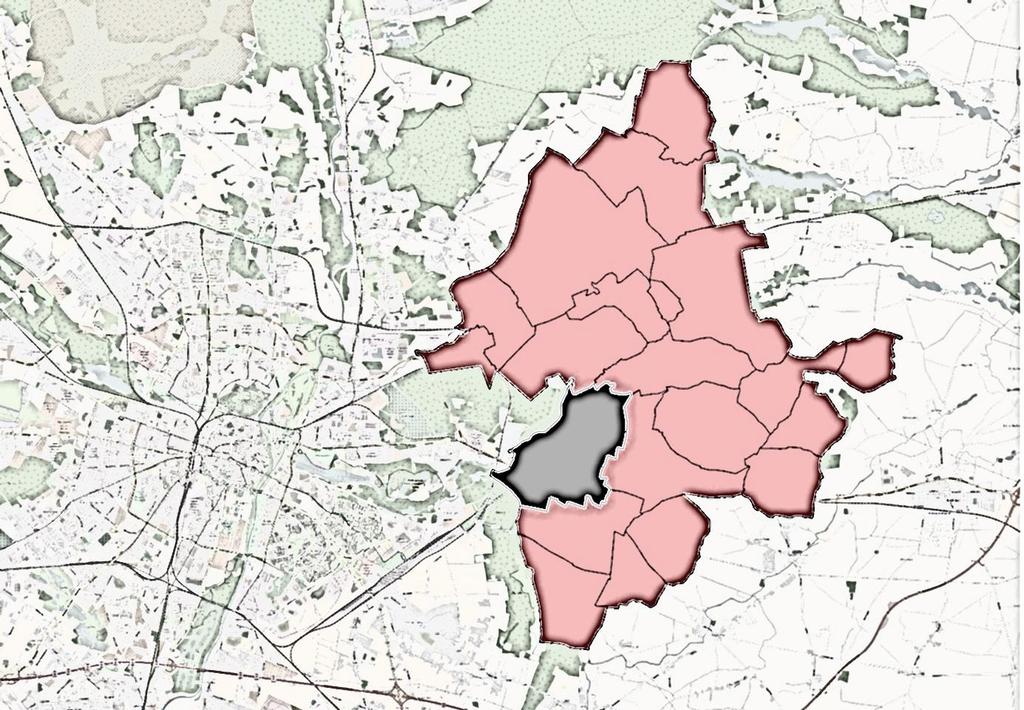 DIAGNOZA SŁUŻĄCA