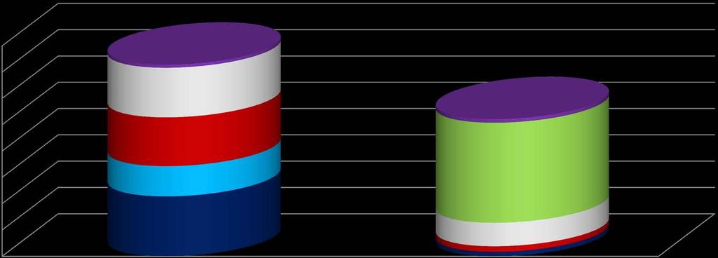 26% 2% 31% 3% 3% 4% 17% 25% 16% 73% SEGMENTY GAZ ZIEMNY, ROPA NAFTOWA I PALIWA WODA