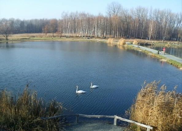 www.greenworld.serwus.pl dla której charakterystyczny jest określony typ ekosystemu z bytującymi tam zwierzętami, grzybami, pierwotniakami i bakteriami w określonym klimacie.
