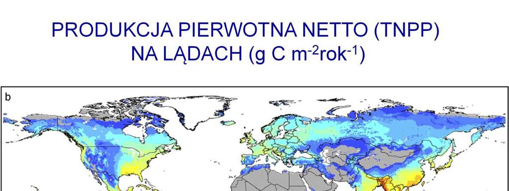 Produkcja pierwotna netto jest ściśle