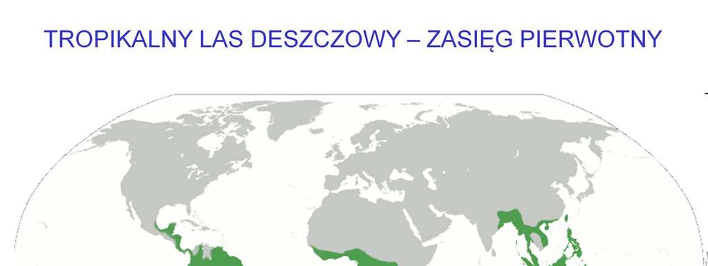 Pierwotny zasięg lasów równikowych jest już obecnie nieaktualny wskutek nadmiernej