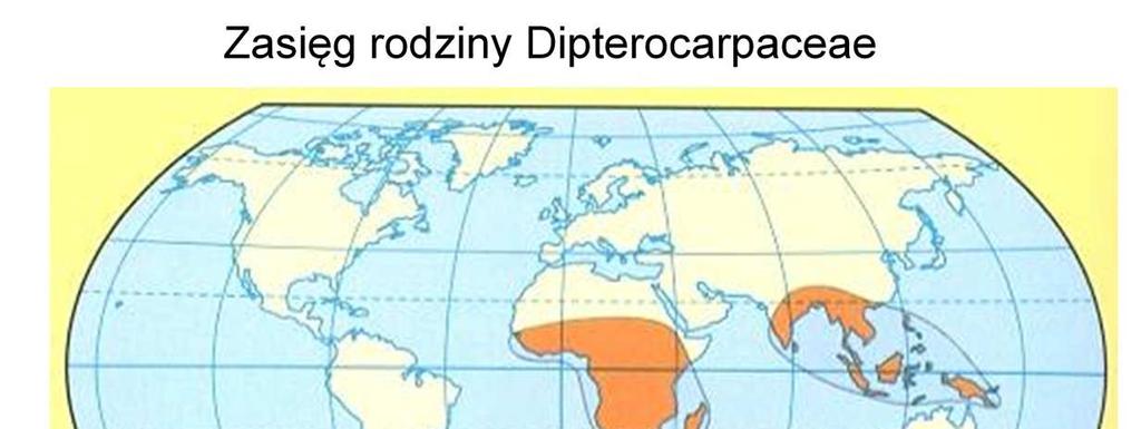 W Afryce i Azji