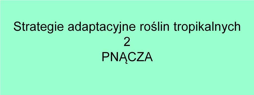 Czynnikiem