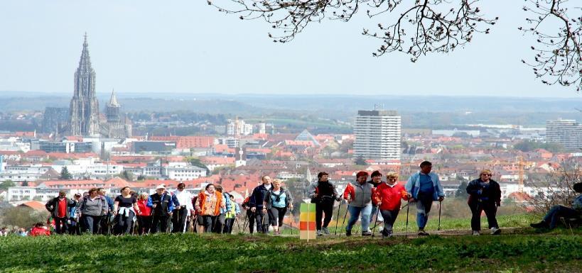 Oprócz spotkań na temat lokalnych wyrobów Muzeum przygotuje także krótki wykład o leczniczych walorach ziół i herbat. Przewidywanych 6 spotkań w każdy ostatni piątek miesiąca od marca do sierpnia.