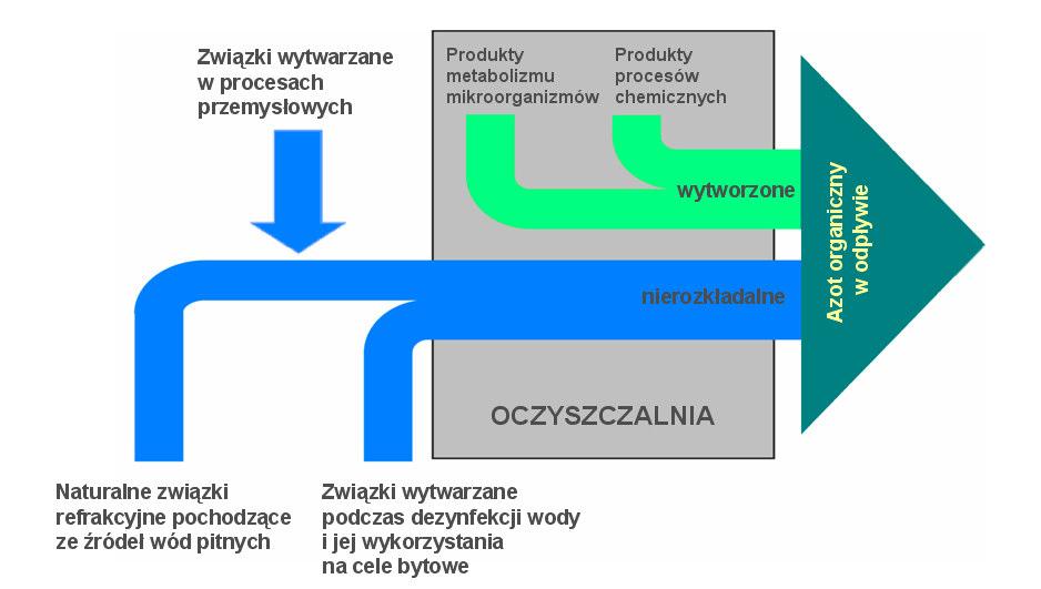 8 organicznych węgla i azotu, pochodzi raczej z metabolizmu mikroorganizmów niż z substratów organicznych zawartych w ściekach dopływających.