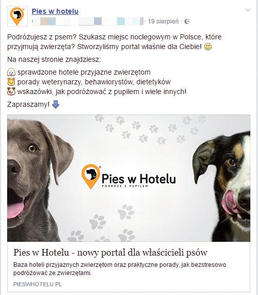 Podróżujesz z psem lub kotem?