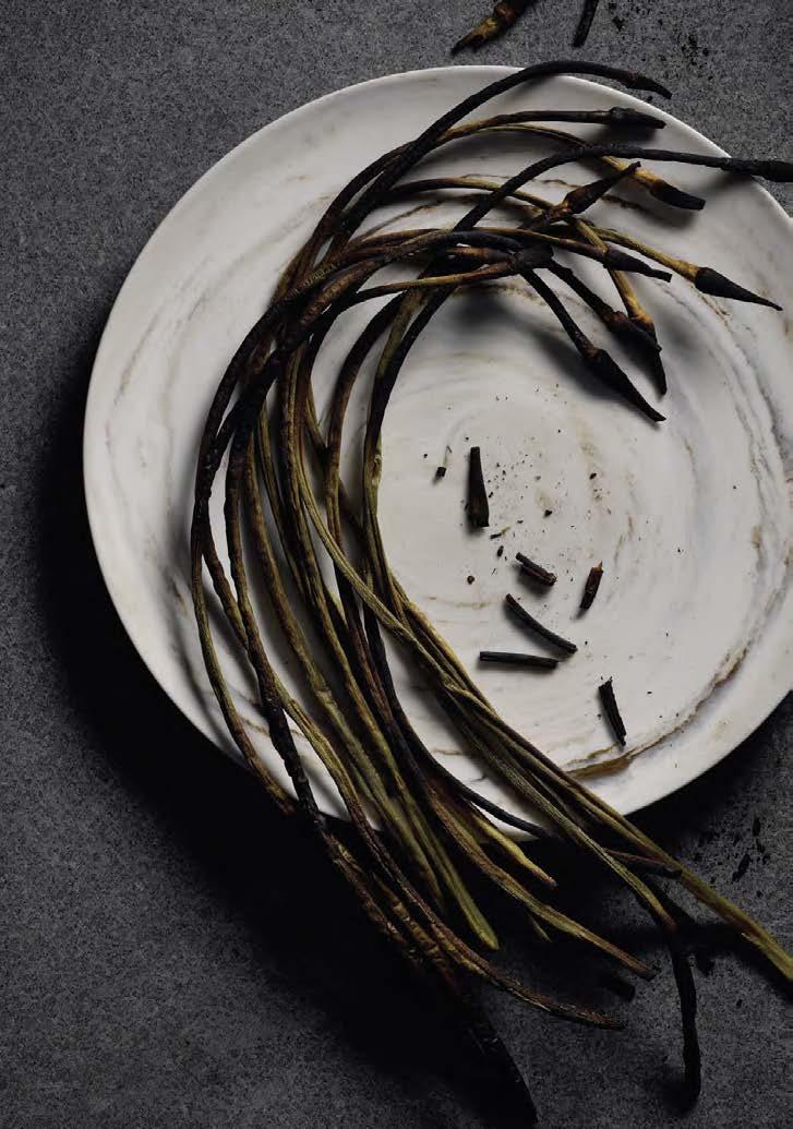 PORCELANA LUZERNE STONE To propozycja dla nowoczesnych restauracji, których tradycja nawiązuje do rękodzieła i natury.
