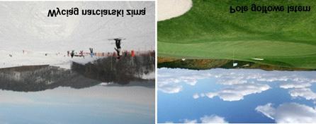 140 M. Kopacz le z tych użytków ulega degradacji i powolnemu procesowi samozalesiania.