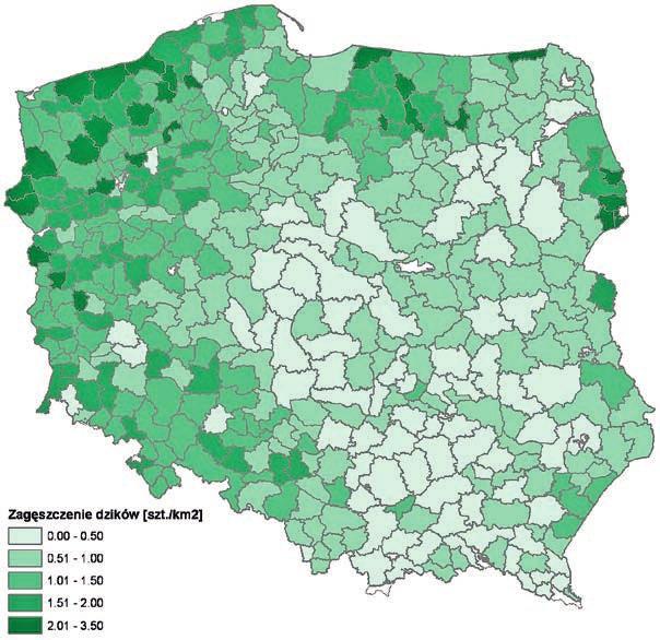 dzików. Przykładowo według danych krajowych (różniących się istotnie np.